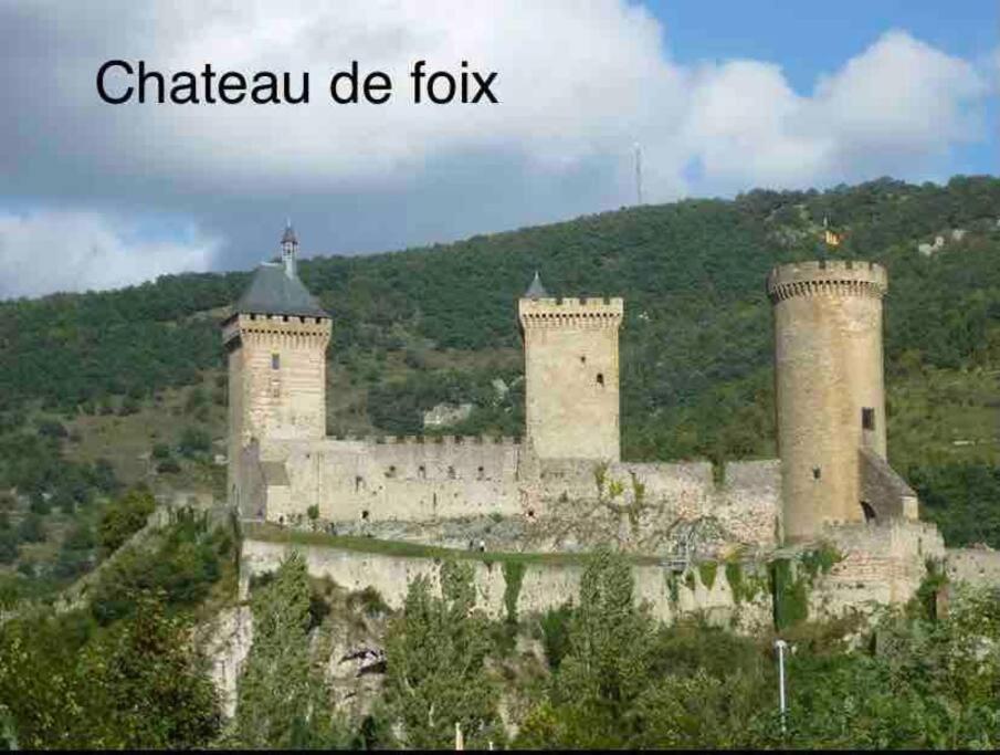Loft Avec Piscine Rieux-de-Pelleport